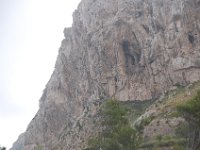 Mallorca 218